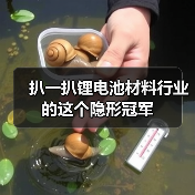 扒一扒锂电池材料行业的这个隐形冠军（图4）