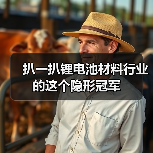 扒一扒锂电池材料行业的这个隐形冠军（图2）