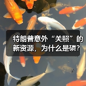 特朗普意外“关照”的新资源，为什么是磷？（图4）