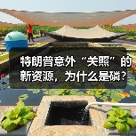特朗普意外“关照”的新资源，为什么是磷？（图1）