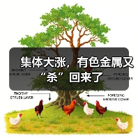 集体大涨，有色金属又“杀”回来了（图2）