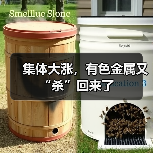 集体大涨，有色金属又“杀”回来了（图4）