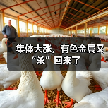 集体大涨，有色金属又“杀”回来了（图3）