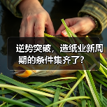 逆势突破,造纸业新周期的条件集齐了?(图2) 逆势突破,造纸业新周期的条件集齐了?(图2)