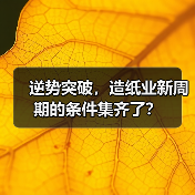 逆势突破,造纸业新周期的条件集齐了?(图1) 逆势突破,造纸业新周期的条件集齐了?(图1)