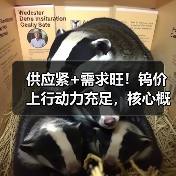 供应紧+需求旺！钨价上行动力充足，核心概念股年内股价已翻倍（图3）