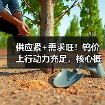 供应紧+需求旺！钨价上行动力充足，核心概念股年内股价已翻倍（图4）