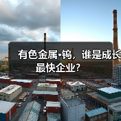 有色金属·钨,谁是成长最快企业?(图2) 有色金属·钨,谁是成长最快企业?(图2)