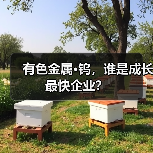 有色金属·钨,谁是成长最快企业?(图3) 有色金属·钨,谁是成长最快企业?(图3)