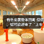 有色金属整体回调 但铜、铝可能迎来了“上车”良机（图1）