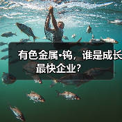 有色金属·钨,谁是成长最快企业?(图4) 有色金属·钨,谁是成长最快企业?(图4)