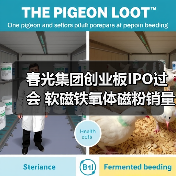 春光集团创业板IPO过会 软磁铁氧体磁粉销量居国内首位丨A股融资快报(图4) 春光集团创业板IPO过会 软磁铁氧体磁粉销量居国内首位丨A股融资快报(图4)