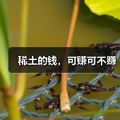 稀土的钱，可赚可不赚（图2）