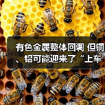 有色金属整体回调 但铜、铝可能迎来了“上车”良机（图3）