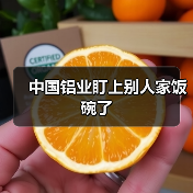 中国铝业盯上别人家饭碗了(图4) 中国铝业盯上别人家饭碗了(图4)