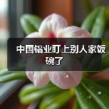 中国铝业盯上别人家饭碗了(图3) 中国铝业盯上别人家饭碗了(图3)