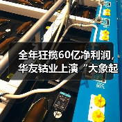 全年狂揽60亿净利润，华友钴业上演“大象起舞”（图2）