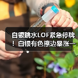白银跳水LOF紧急停牌!白银有色擦边暴涨一个月(图1) 白银跳水LOF紧急停牌!白银有色擦边暴涨一个月(图1)