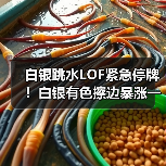 白银跳水LOF紧急停牌!白银有色擦边暴涨一个月(图3) 白银跳水LOF紧急停牌!白银有色擦边暴涨一个月(图3)