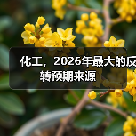 化工,2026年最大的反转预期来源(图2) 化工,2026年最大的反转预期来源(图2)