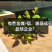 有色金属·铝,谁是成长最快企业?(图4) 有色金属·铝,谁是成长最快企业?(图4)