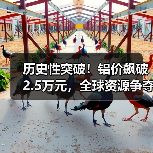 历史性突破!铝价飙破2.5万元,全球资源争夺战白热化(图3) 历史性突破!铝价飙破2.5万元,全球资源争夺战白热化(图3)