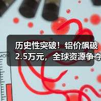 历史性突破!铝价飙破2.5万元,全球资源争夺战白热化(图1) 历史性突破!铝价飙破2.5万元,全球资源争夺战白热化(图1)