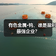 有色金属·钨,谁是盈利最强企业?(图4) 有色金属·钨,谁是盈利最强企业?(图4)
