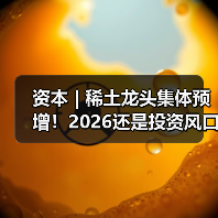 资本 | 稀土龙头集体预增!2026还是投资风口吗?(图4) 资本 | 稀土龙头集体预增!2026还是投资风口吗?(图4)
