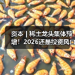资本 | 稀土龙头集体预增!2026还是投资风口吗?(图3) 资本 | 稀土龙头集体预增!2026还是投资风口吗?(图3)