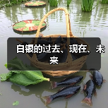 白银的过去、现在、未来(图1) 白银的过去、现在、未来(图1)