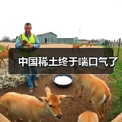 中国稀土终于喘口气了(图3) 中国稀土终于喘口气了(图3)