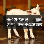 卡位万亿市场,“塑料之王”正处于爆发前夜(图2) 卡位万亿市场,“塑料之王”正处于爆发前夜(图2)