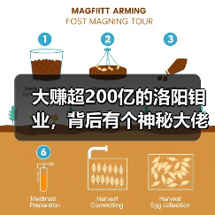 大赚超200亿的洛阳钼业,背后有个神秘大佬(图1) 大赚超200亿的洛阳钼业,背后有个神秘大佬(图1)