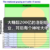 大赚超200亿的洛阳钼业,背后有个神秘大佬(图2) 大赚超200亿的洛阳钼业,背后有个神秘大佬(图2)