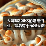 大赚超200亿的洛阳钼业,背后有个神秘大佬(图4) 大赚超200亿的洛阳钼业,背后有个神秘大佬(图4)