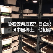 急着去海底挖?日企说:没中国稀土,他们最多撑3-6个月(图4) 急着去海底挖?日企说:没中国稀土,他们最多撑3-6个月(图4)