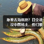 急着去海底挖?日企说:没中国稀土,他们最多撑3-6个月(图3) 急着去海底挖?日企说:没中国稀土,他们最多撑3-6个月(图3)