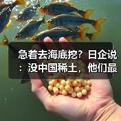 急着去海底挖?日企说:没中国稀土,他们最多撑3-6个月(图1) 急着去海底挖?日企说:没中国稀土,他们最多撑3-6个月(图1)
