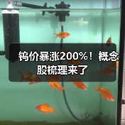钨价暴涨200%!概念股梳理来了(图1) 钨价暴涨200%!概念股梳理来了(图1)