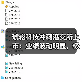 琥崧科技冲刺港交所上市:业绩波动明显,极其依赖少数客户(图1) 琥崧科技冲刺港交所上市:业绩波动明显,极其依赖少数客户(图1)