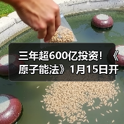 三年超600亿投资!《原子能法》1月15日开始实施 2026,谁在接单可控核聚变?(图1) 三年超600亿投资!《原子能法》1月15日开始实施 2026,谁在接单可控核聚变?(图1)