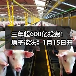三年超600亿投资!《原子能法》1月15日开始实施 2026,谁在接单可控核聚变?(图3) 三年超600亿投资!《原子能法》1月15日开始实施 2026,谁在接单可控核聚变?(图3)
