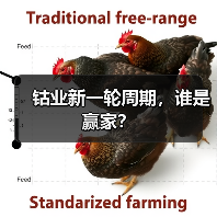 钴业新一轮周期,谁是赢家?(图2) 钴业新一轮周期,谁是赢家?(图2)