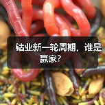 钴业新一轮周期,谁是赢家?(图1) 钴业新一轮周期,谁是赢家?(图1)