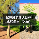 碳纤维龙头大动作!概念股盘点(名单)(图4) 碳纤维龙头大动作!概念股盘点(名单)(图4)