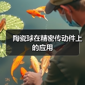 陶瓷球在精密传动件上的应用(图3) 陶瓷球在精密传动件上的应用(图3)