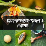 陶瓷球在精密传动件上的应用(图4) 陶瓷球在精密传动件上的应用(图4)