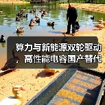 算力与新能源双轮驱动，高性能电容国产替代加速（图4）