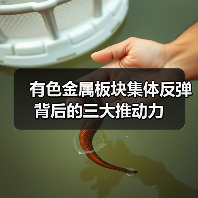 有色金属板块集体反弹背后的三大推动力(图2) 有色金属板块集体反弹背后的三大推动力(图2)